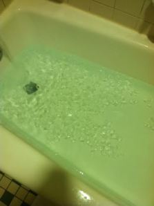 dopey ice bath