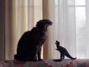 I love this pic - not Simon, however, Jurassic Park is Simon's favorite movie